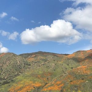 Meet your Posher, Mandy